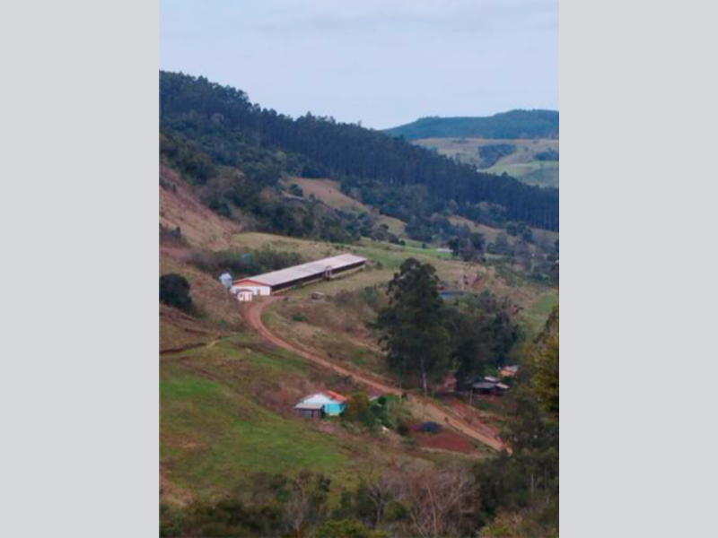 Sítio - Saltinho - SC, localizado em Saltinho - SC