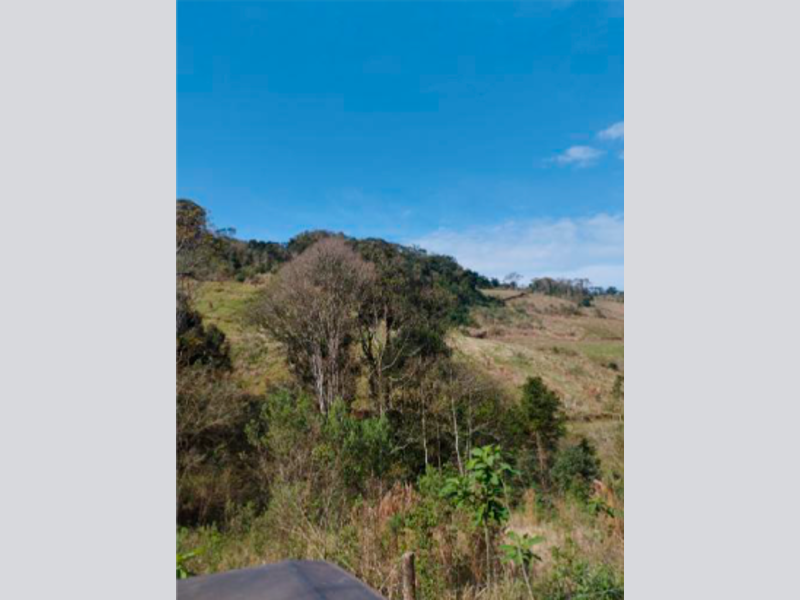 Sítio - Saltinho - SC, localizado em Saltinho - SC