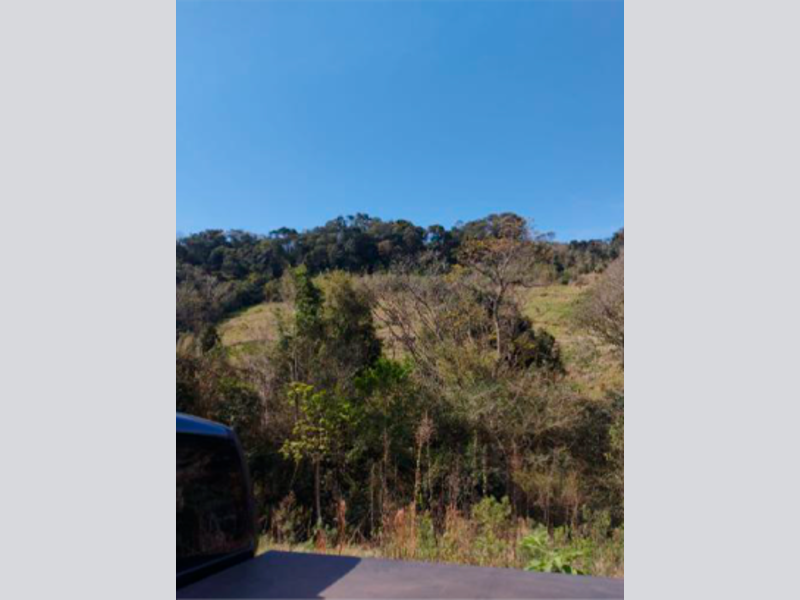 Sítio - Saltinho - SC, localizado em Saltinho - SC