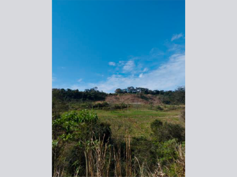 Sítio - Saltinho - SC, localizado em Saltinho - SC