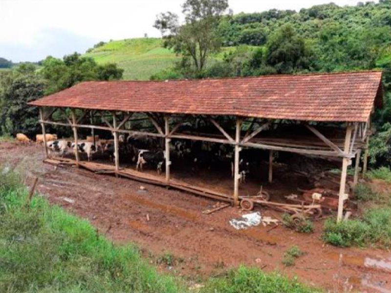 Sítio - Saltinho - SC, localizado em Saltinho - SC