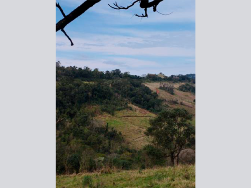 Imagem do imóvel Sitio - Saltinho - SC