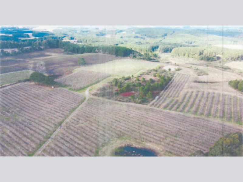 Terreno - Água Doce - SC, localizado em Água Doce - SC, bairro Núcleo Jesuíno Mendes