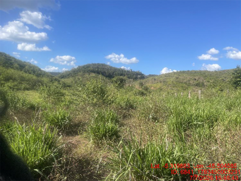 Terreno no Barrinha. (foto 24 de 32)