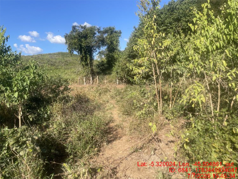 Terreno no Barrinha. (foto 23 de 32)