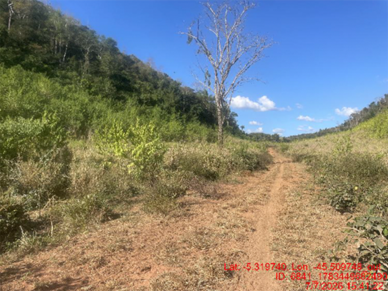 Terreno no Barrinha. (foto 21 de 32)