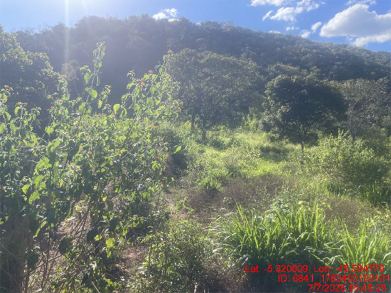 Terreno no Barrinha. (foto 25 de 32)