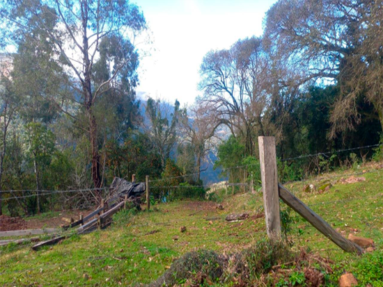 Imóvel rural em leilão em Caxias Do Sul