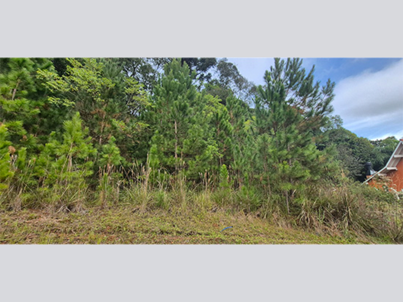 Imagem do imóvel Terreno - Nova Petrópolis - RS