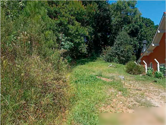 Terreno - Nova Petrópolis - RS