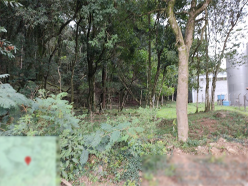 Terreno (foto 2 de 8)