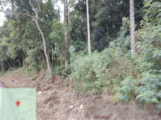 Terreno - Flores da Cunha - RS