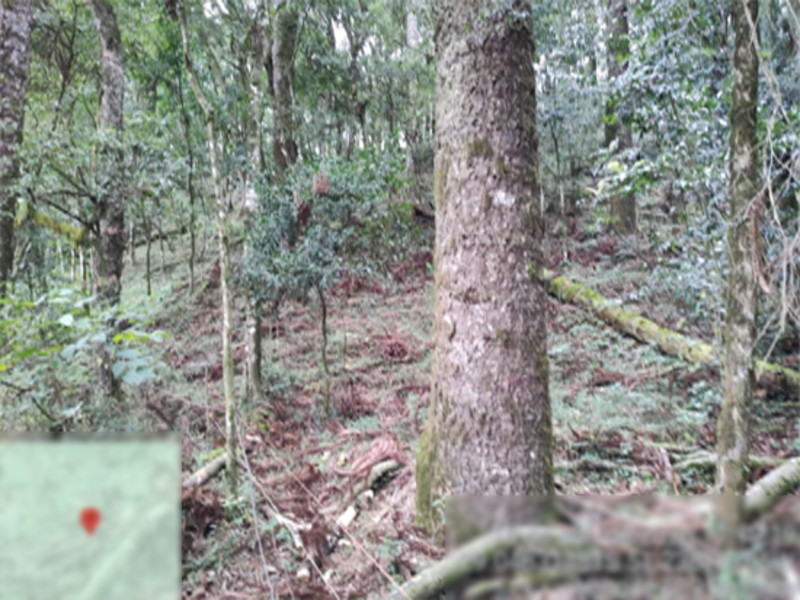 Terreno (foto 3 de 8)