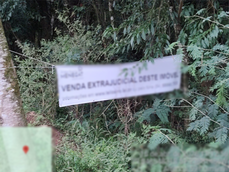 Terreno (foto 7 de 8)