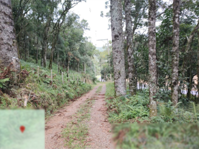 Terreno (foto 8 de 8)