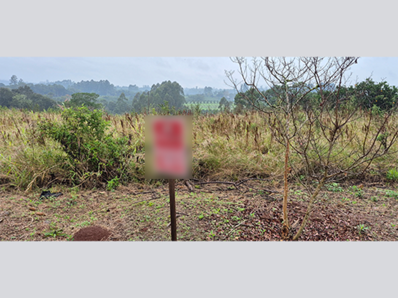 Terreno no Loteamento Residencial Hans - Fase I (foto 14 de 15)