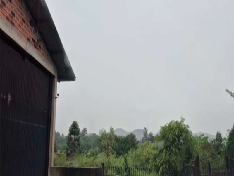 Terreno no Bom Fim (foto 16 de 31)