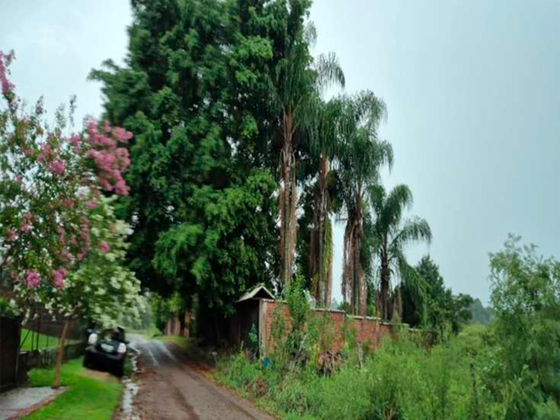 Terreno no Bom Fim (foto 15 de 31)