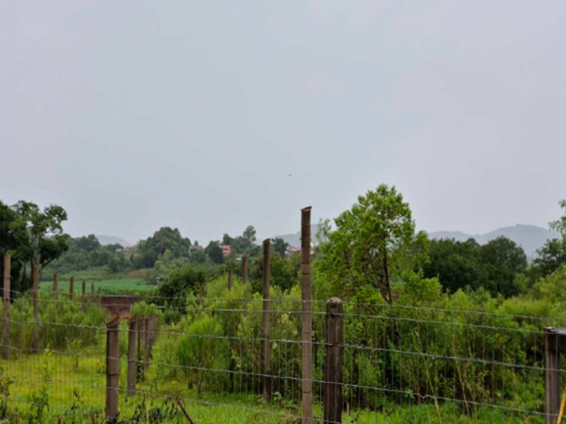 Terreno no Bom Fim (foto 23 de 31)