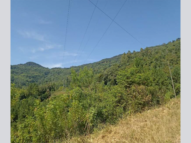 Imagem do imóvel Terreno - Nova Petrópolis - RS