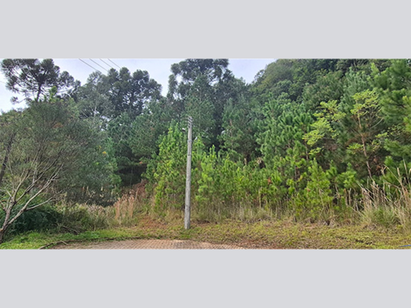 Imagem do imóvel Terreno - Nova Petrópolis - RS