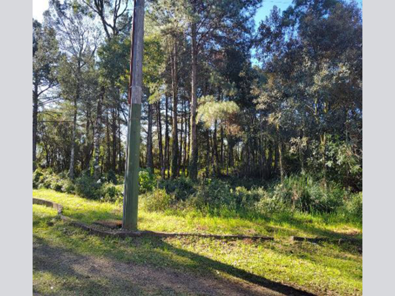 Imagem do imóvel Terreno - Gramado - RS