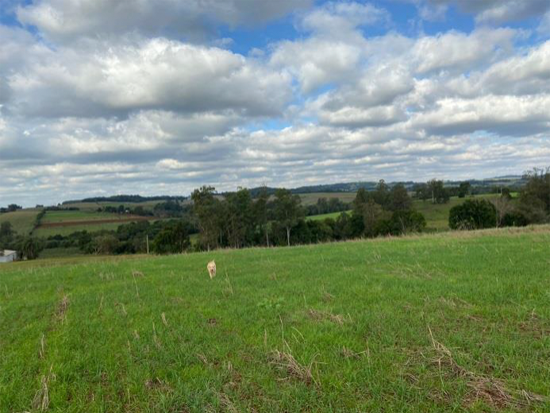 Terreno - Campina Das Missões - RS