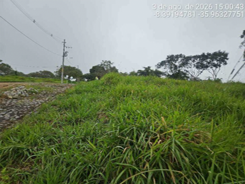 Imagem do imóvel Terreno - Agrestina - PE