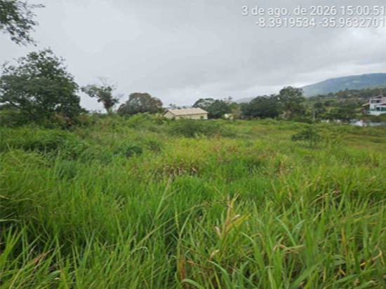 Terreno em leilão em Agrestina