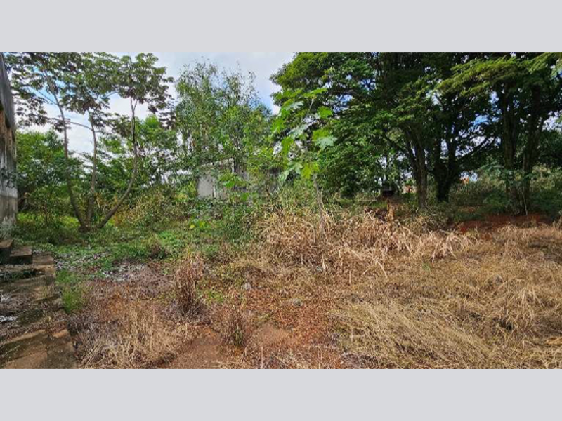 Terreno no Zona Rural (foto 6 de 27)