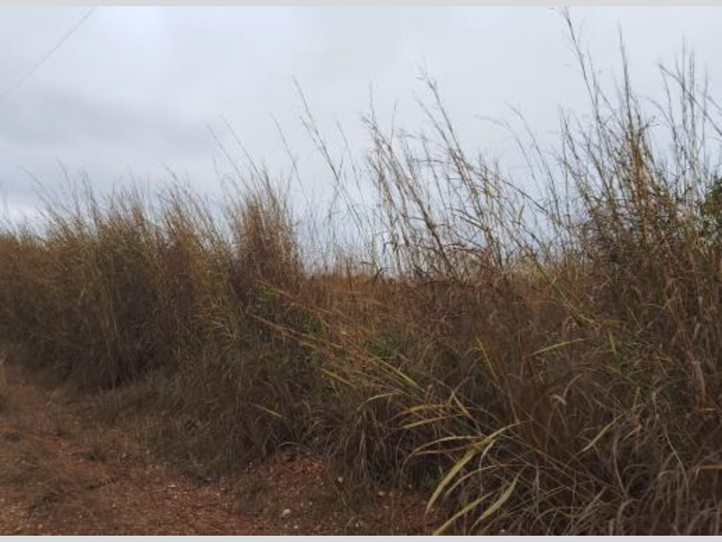 Terreno no Recanto do Pari (foto 4 de 6)