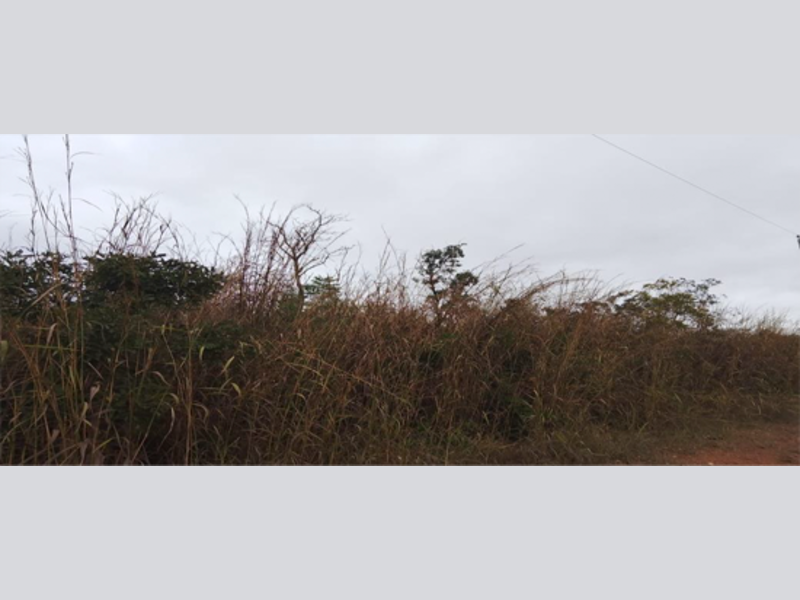 Terreno no Recanto do Pari (foto 5 de 6)