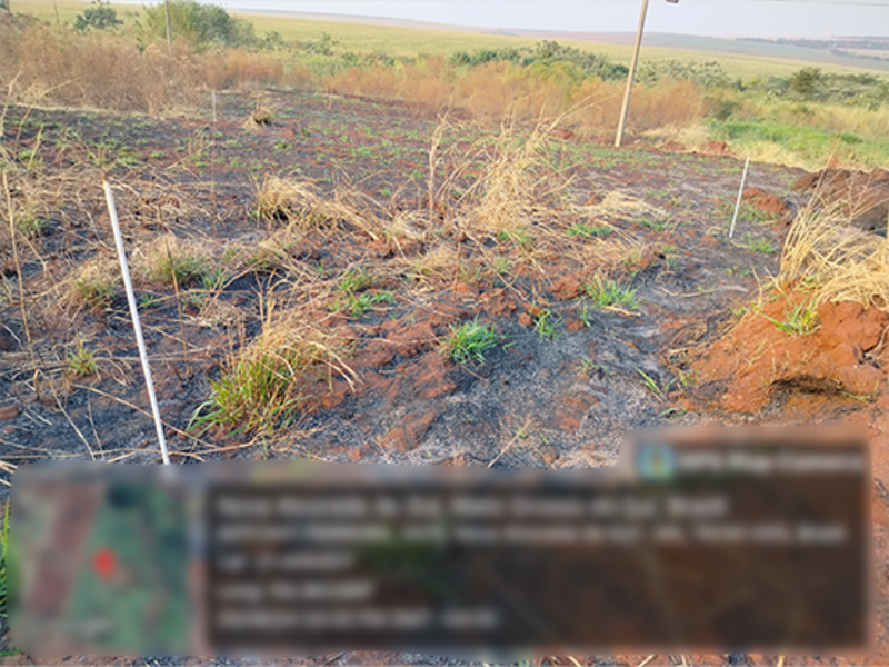 Terreno no Lot Maria de Lourdes Marson St (foto 2 de 4)