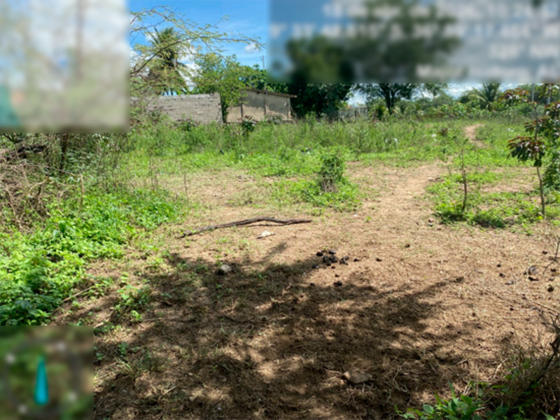 Terreno no Povoado São Marcos (in loco) (foto 4 de 6)