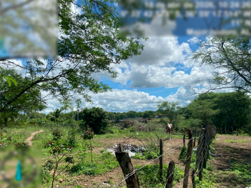 Terreno no Povoado São Marcos (in loco) (foto 3 de 6)