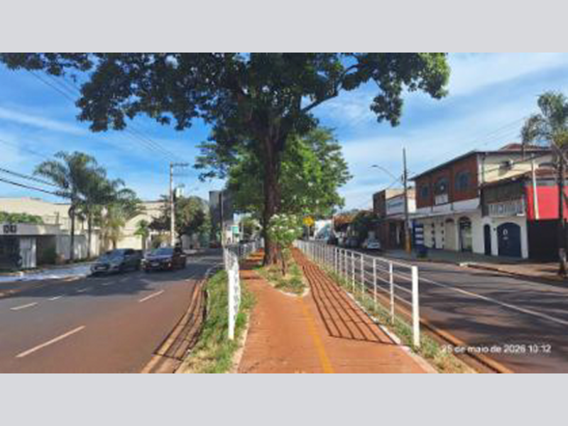 Apartamento no Vila Amélia (foto 3 de 10)