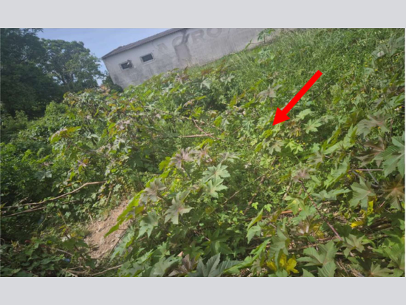 Terreno no Centro (foto 4 de 7)
