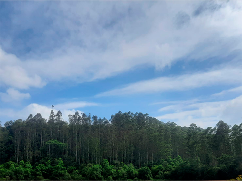 Imagem do imóvel Terreno - Rio do Campo - SC