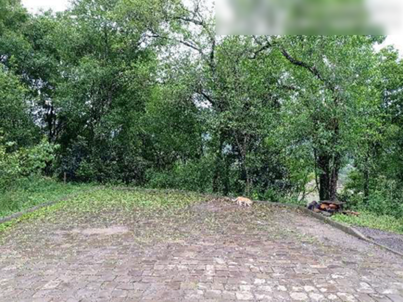 Terreno no São José (foto 4 de 8)