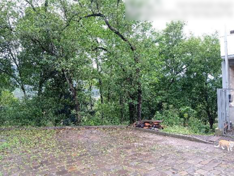Terreno no São José (foto 6 de 8)