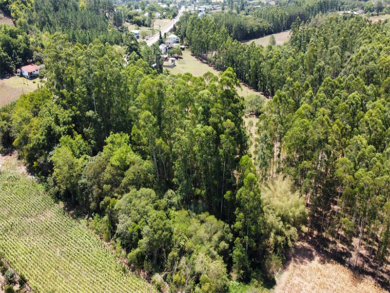 Terreno no Jacarezinho (foto 8 de 15)