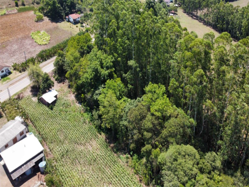 Terreno no Jacarezinho (foto 12 de 15)