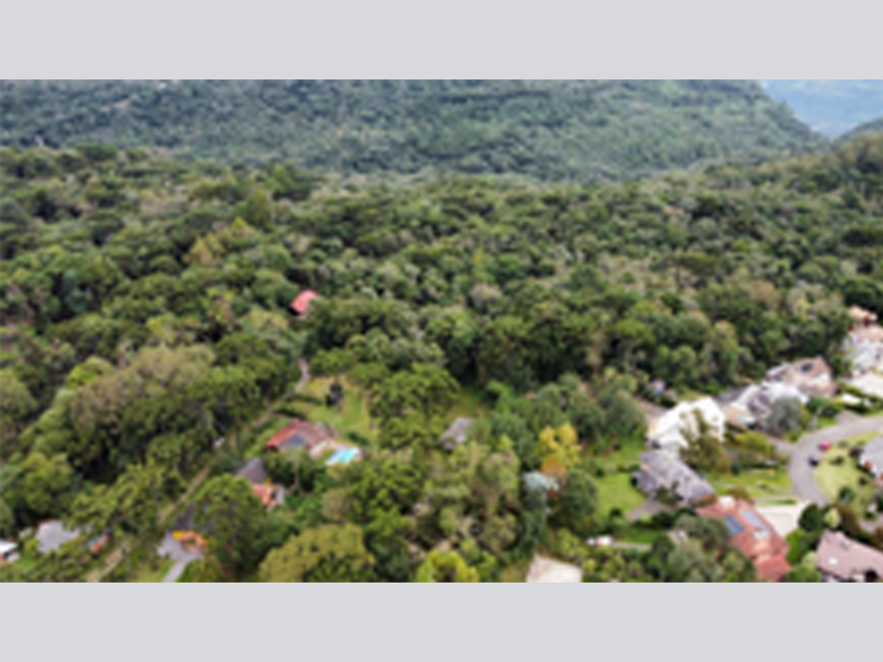 Imagem do imóvel Terreno - Canela - RS