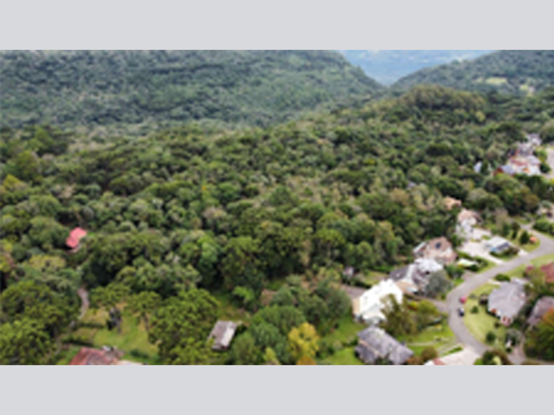 Terreno no Santa Teresinha (foto 7 de 16)