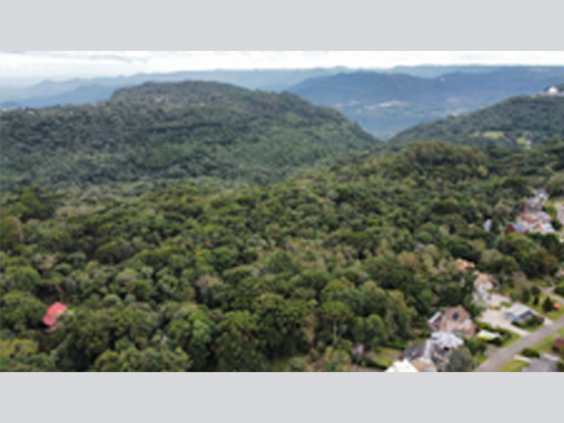 Terreno no Santa Teresinha (foto 13 de 16)