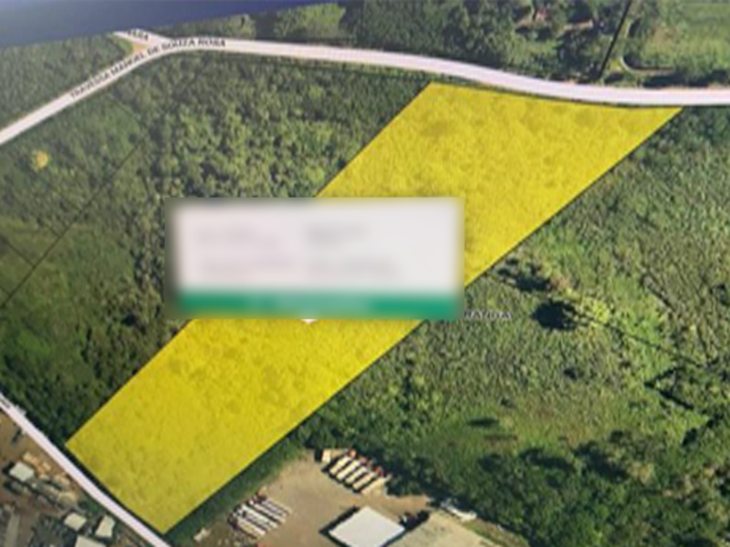 Terreno no Beija-Flor (foto 13 de 32)
