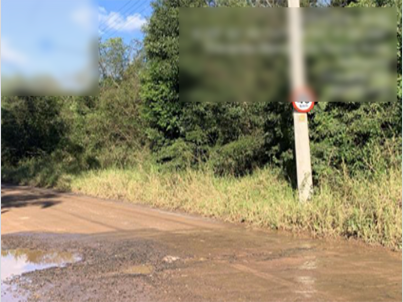 Terreno no Beija-Flor (foto 11 de 32)