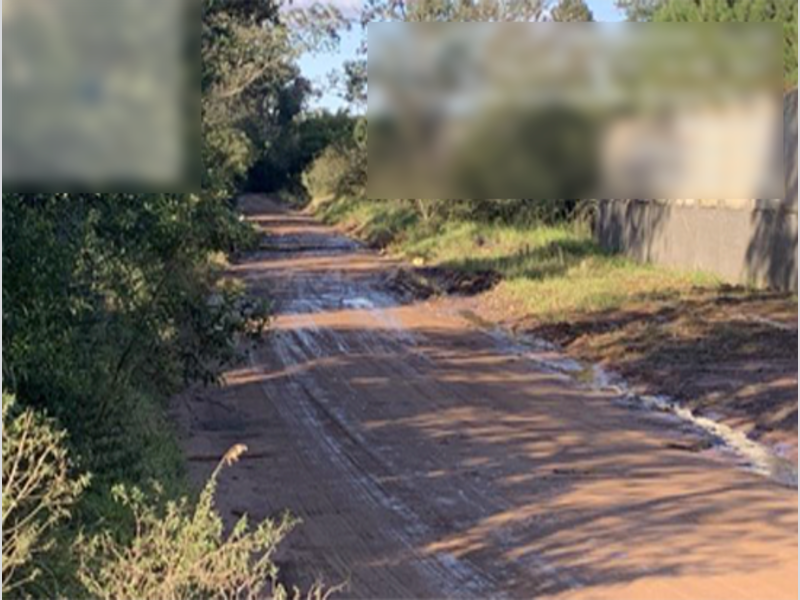 Terreno no Beija-Flor (foto 14 de 32)