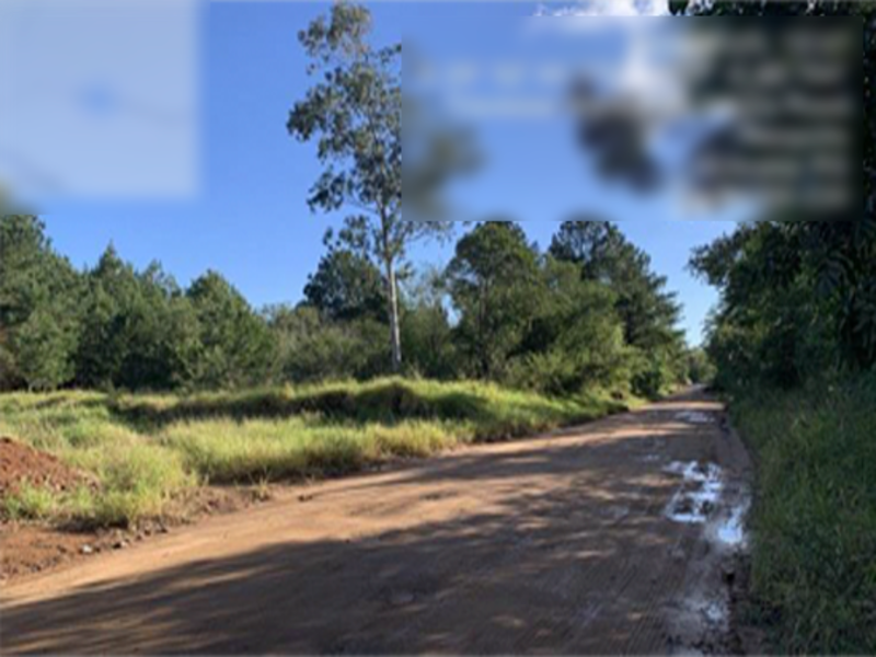 Terreno no Beija-Flor (foto 16 de 32)