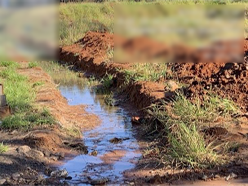 Terreno no Beija-Flor (foto 31 de 32)
